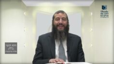 הדף היומי ירושלמי מסכת יבמות דף מו
