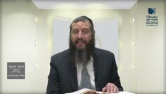 הדף היומי ירושלמי מסכת יבמות דף מז