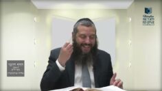 הדף היומי ירושלמי מסכת יבמות דף סא