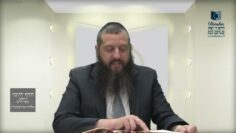 הדף היומי ירושלמי מסכת יבמות דף סד