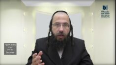 הדף היומי מסכת בכורות דף יז
