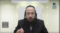 הדף היומי מסכת בכורות דף יח