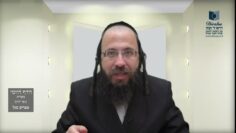הדף היומי מסכת בכורות דף יט