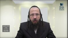הדף היומי מסכת בכורות דף כ