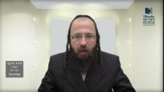 הדף היומי מסכת בכורות דף כד