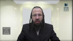 הדף היומי מסכת בכורות דף כה