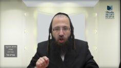 הדף היומי מסכת בכורות דף כו