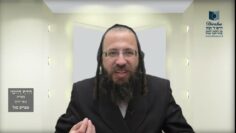 הדף היומי מסכת בכורות דף כח