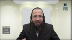 הדף היומי מסכת בכורות דף כט