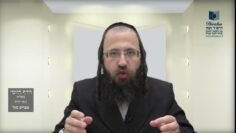 הדף היומי מסכת בכורות דף ל