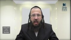 הדף היומי מסכת בכורות דף לא