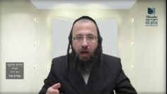 הדף היומי מסכת בכורות דף לב