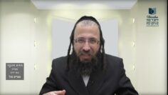 הדף היומי מסכת בכורות דף לג