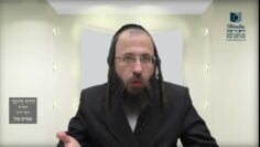 הדף היומי מסכת בכורות דף לו