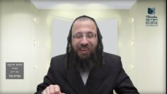 הדף היומי מסכת בכורות דף לז