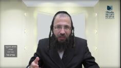 הדף היומי מסכת בכורות דף לח