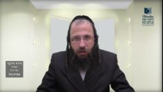 הדף היומי מסכת בכורות דף לט
