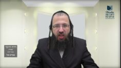 הדף היומי מסכת בכורות דף מא