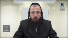 הדף היומי מסכת מכות דף יט