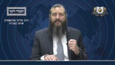 העמוד היומי מסכת סוכה דף י עמוד ב