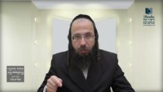 כיצד על אדם לנהוג בערב פסח עם חמץ של חברו