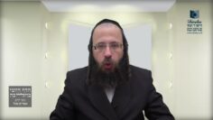 מאיזה שעה אסור לאכול חמץ בערב פסח ?- תמ"ג א'