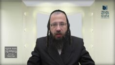 מה עושים כשמוצאים חמץ בחג הפסח ?- תמ"ה ג' תמ"ו