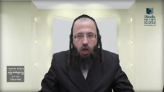 ערב פסח שחל להיות בשבת מתי עושים שריפת חמץ ?-