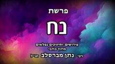 פרשת נח