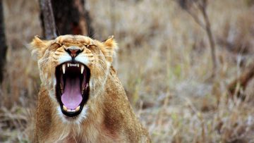 Anger