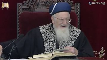 קול צופייך | תשס"ג כז' כסלו | פרשת מקץ |