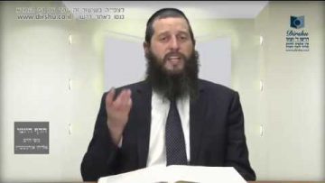 הדף היומי מסכת בכורות דף יד