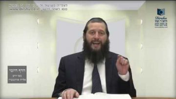 הדף היומי מסכת בכורות דף טו