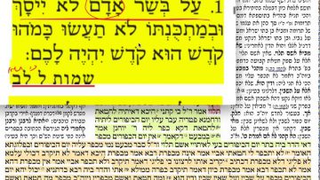 פרטי: [ID: ktUB_tsfUgY] Youtube Automatic