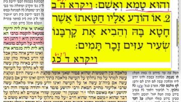פרטי: [ID: glXlxqtxZnE] Youtube Automatic
