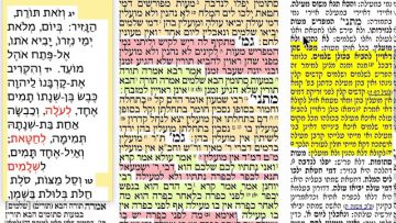 פרטי: [ID: t5KX347MDT8] Youtube Automatic
