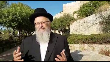 פרטי: [ID: YsR8qqfOfMY] Youtube Automatic