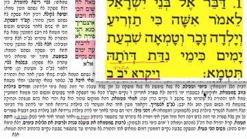 פרטי: [ID: 2DVUEHyfV_0] Youtube Automatic