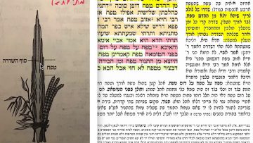 פרטי: [ID: 36jzsENjU98] Youtube Automatic