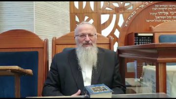 פרטי: [ID: _QMsmbVKr18] Youtube Automatic