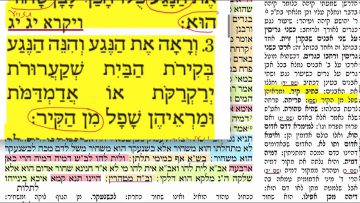 פרטי: [ID: R8vncQewi1Q] Youtube Automatic