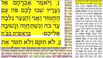 פרטי: [ID: Sycd2HbgDzk] Youtube Automatic
