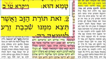 פרטי: [ID: zFgSpn2_FmA] Youtube Automatic