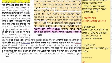 פרטי: [ID: 6znHmMlBkeQ] Youtube Automatic