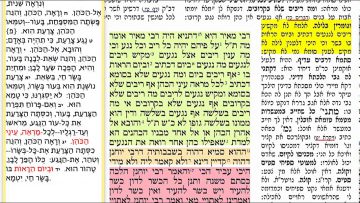 פרטי: [ID: h3ujW8_ktuY] Youtube Automatic