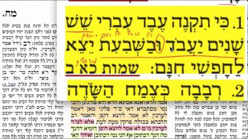 פרטי: [ID: LROH5DKJ1BQ] Youtube Automatic