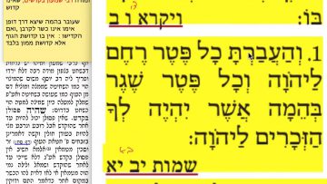 פרטי: [ID: nxSzEuxbOaU] Youtube Automatic