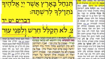 פרטי: [ID: ondYno4Nt0g] Youtube Automatic