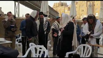פרטי: [ID: P7NPg2dh-f4] Youtube Automatic