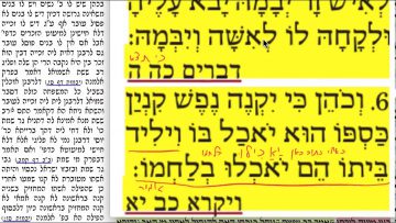 פרטי: [ID: qYvbx6uTSWI] Youtube Automatic